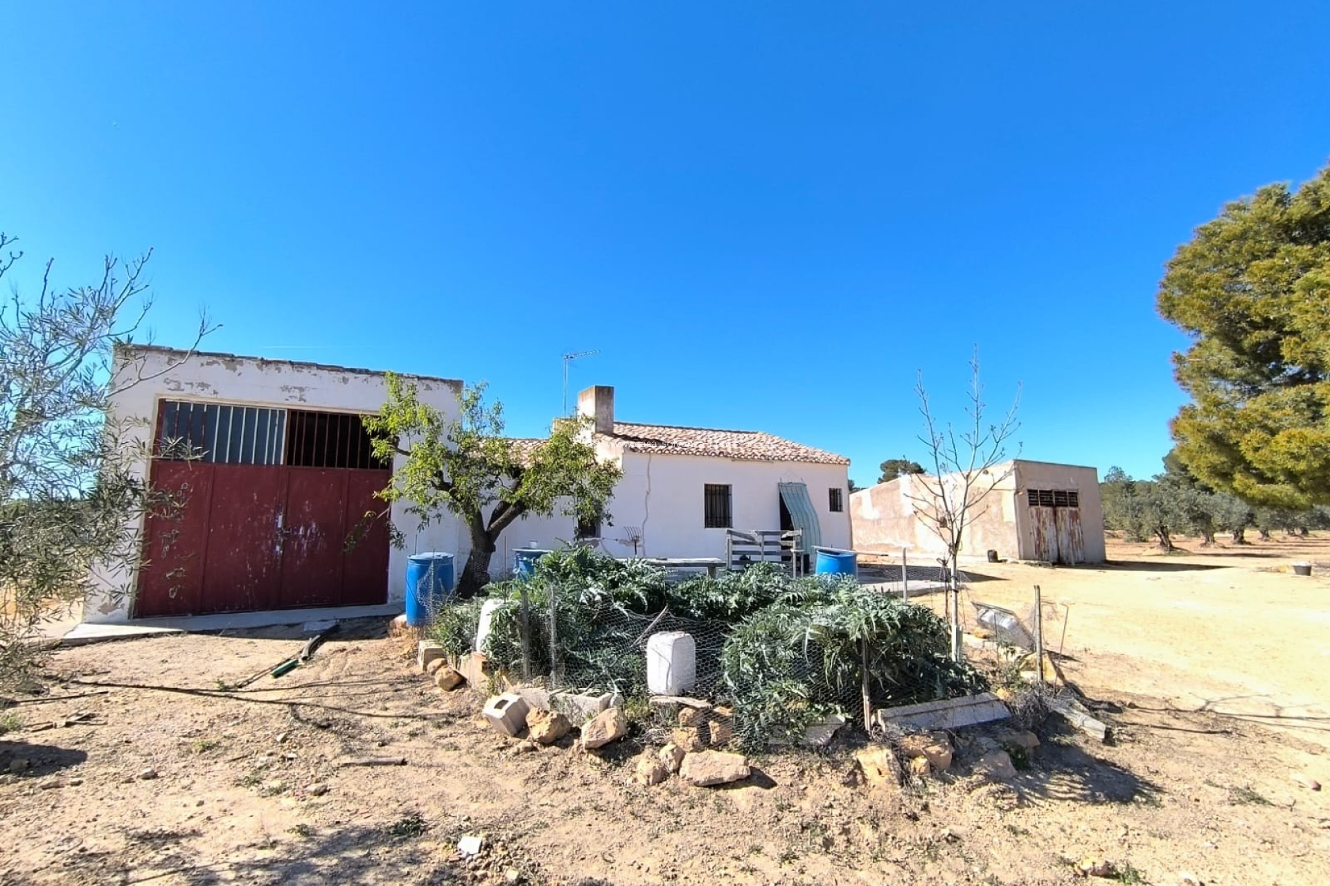 Resale - Country Property/Finca - Yecla - Inland