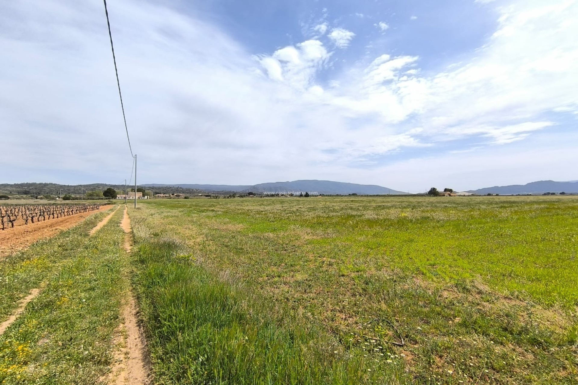 Resale - Country Property/Finca - Yecla - Inland