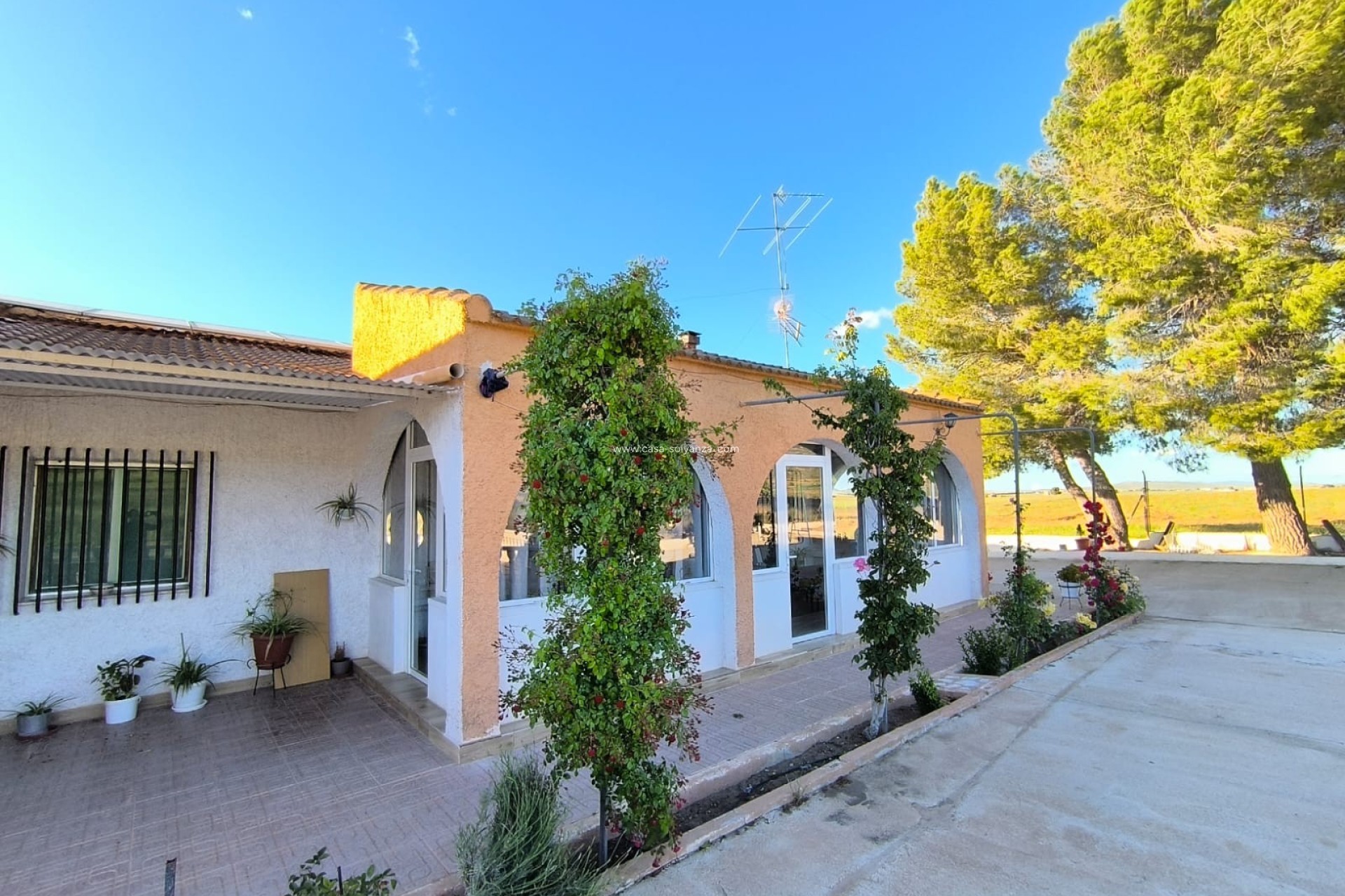 Resale - Country Property/Finca - Yecla - Inland