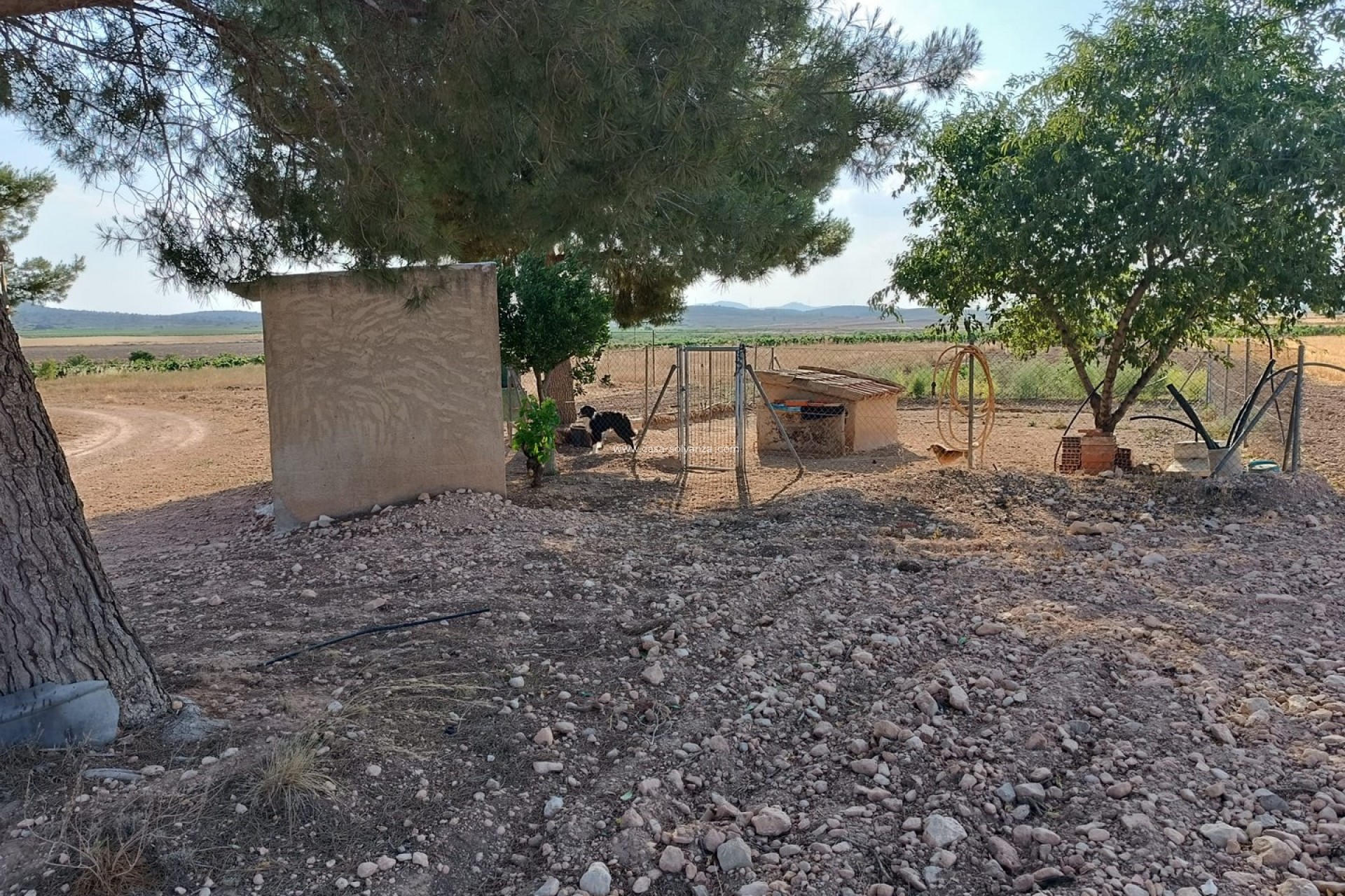 Resale - Country Property/Finca - Yecla - Inland