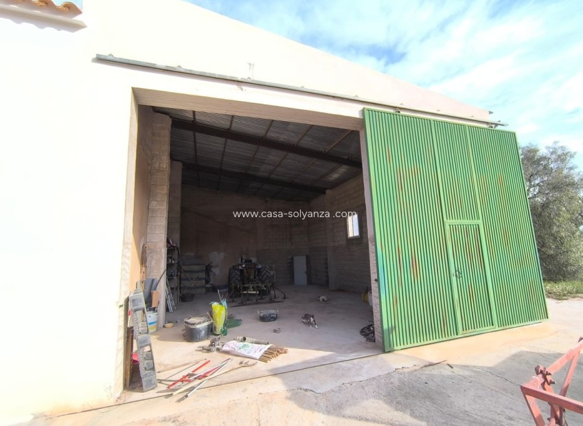 Resale - Country Property/Finca - Yecla - Yecla Centro