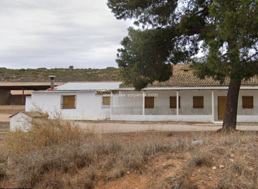 Resale - Country Property/Finca - Yecla - Yecla Centro