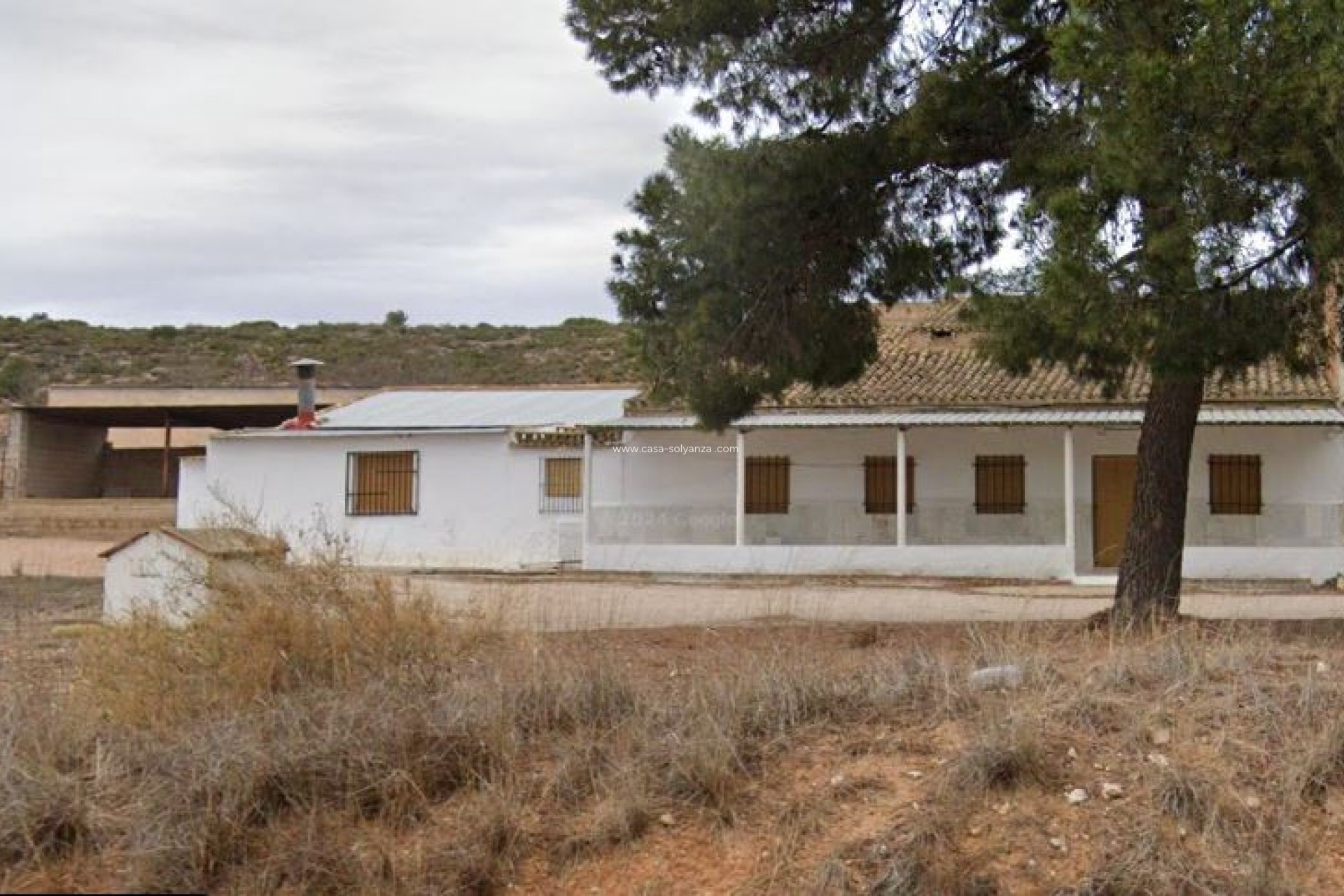 Resale - Country Property/Finca - Yecla - Yecla Centro