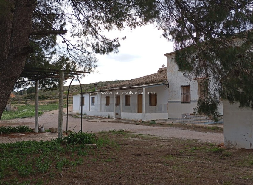 Resale - Country Property/Finca - Yecla - Yecla Centro