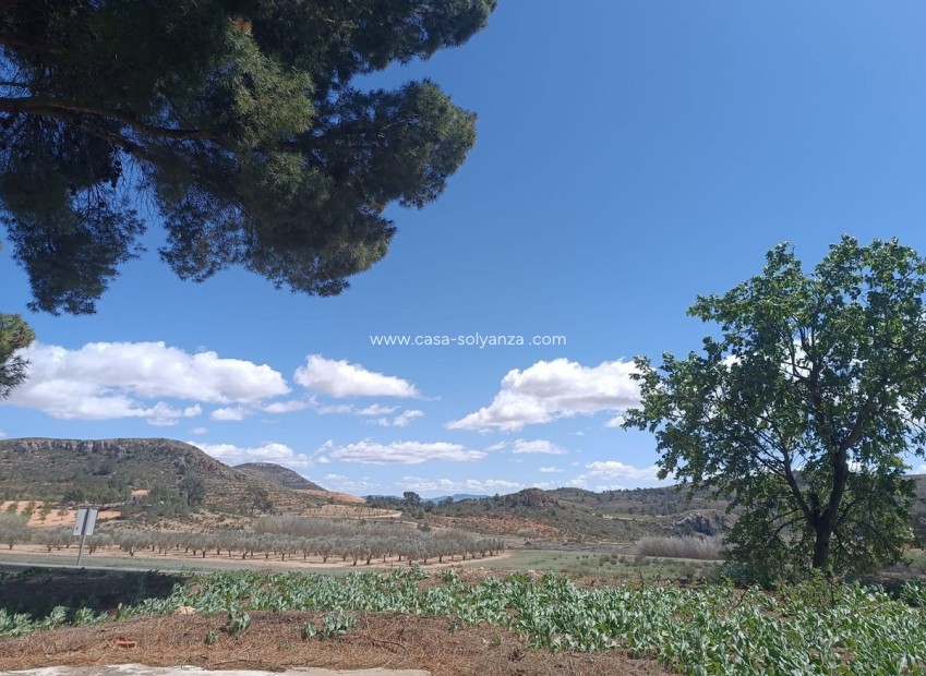 Resale - Country Property/Finca - Yecla - Yecla Centro