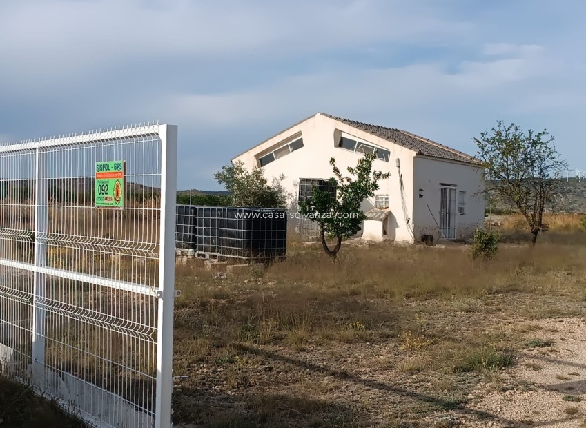 Resale - Country Property/Finca - Yecla - Yecla Centro