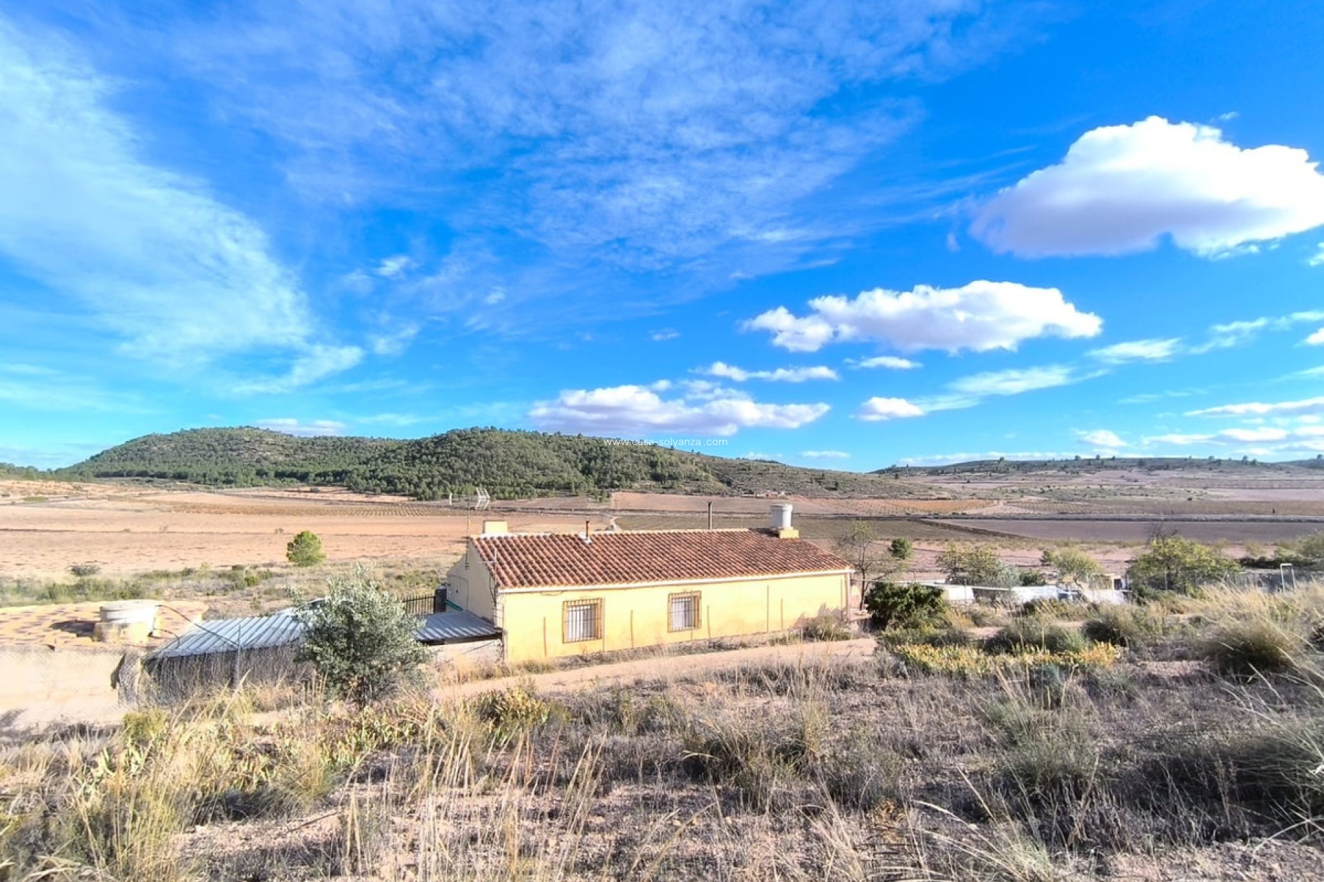 Resale - Country Property/Finca - Yecla - Yecla Centro