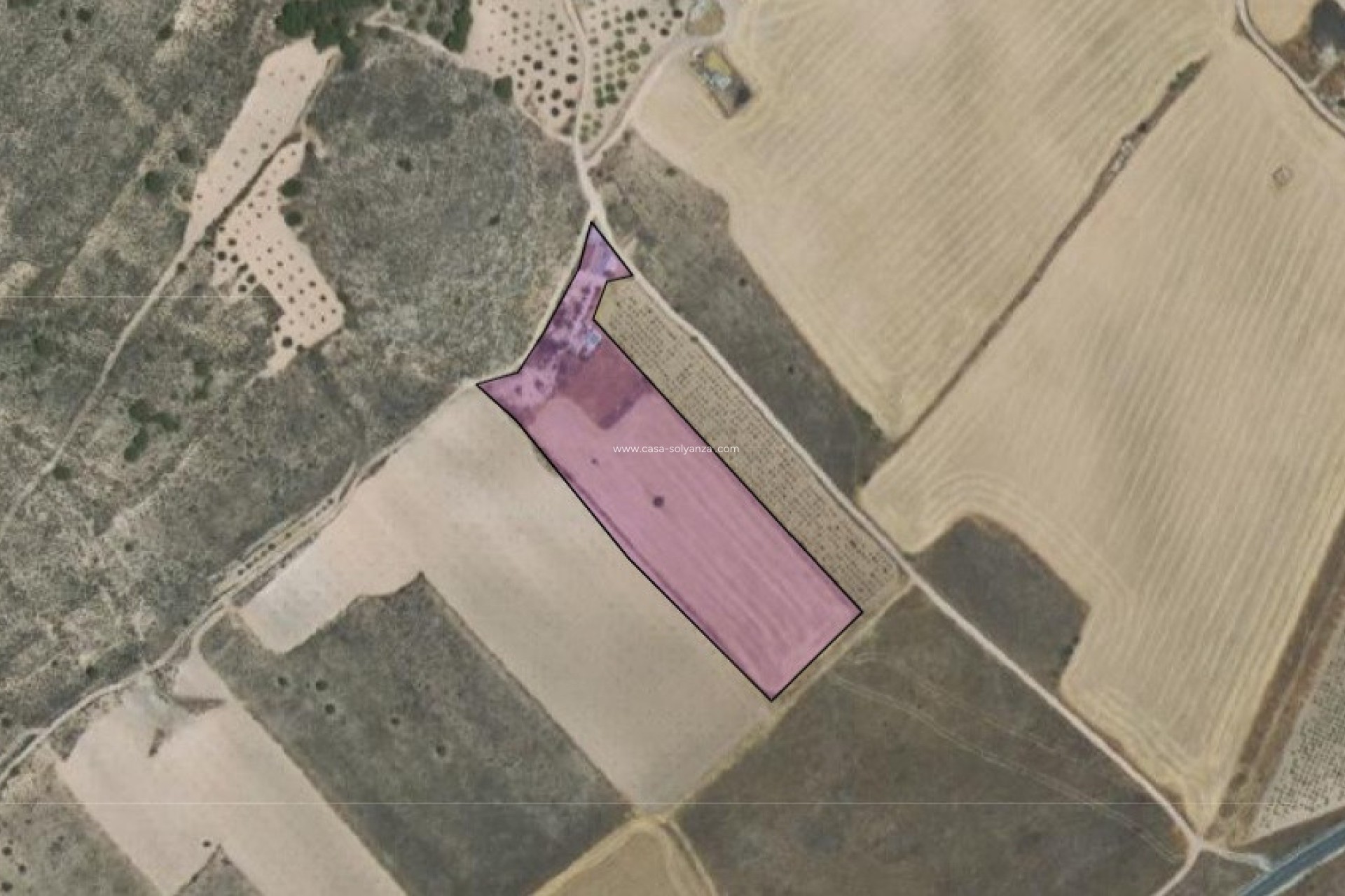 Resale - Country Property/Finca - Yecla - Yecla Centro