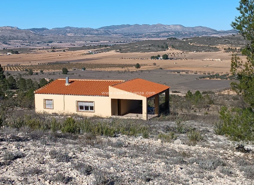 Resale - Country Property/Finca - Yecla - Yecla Centro