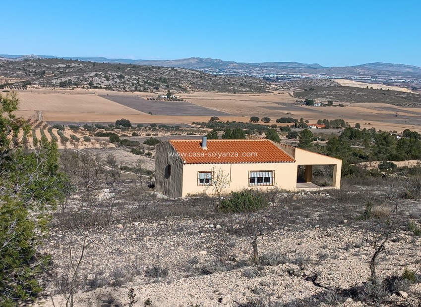Resale - Country Property/Finca - Yecla - Yecla Centro