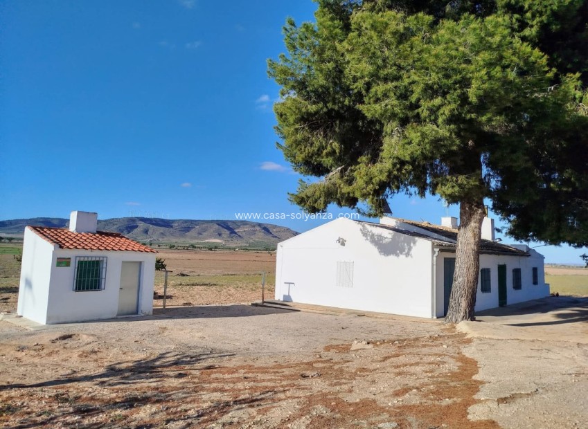 Resale - Country Property/Finca - Yecla - Yecla Centro