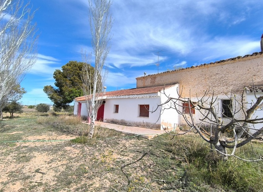 Resale - Country Property/Finca - Yecla - Yecla Centro