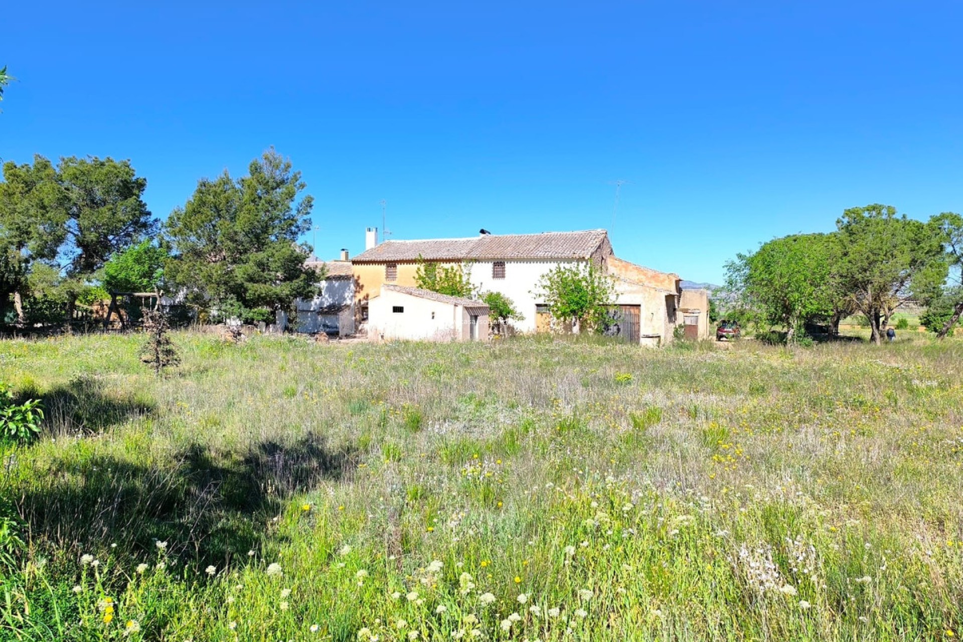 Resale - Country Property/Finca - Yecla - Yecla Centro