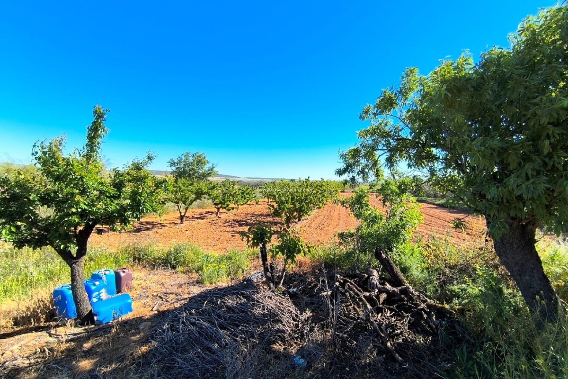 Resale - Country Property/Finca - Yecla - Yecla Centro