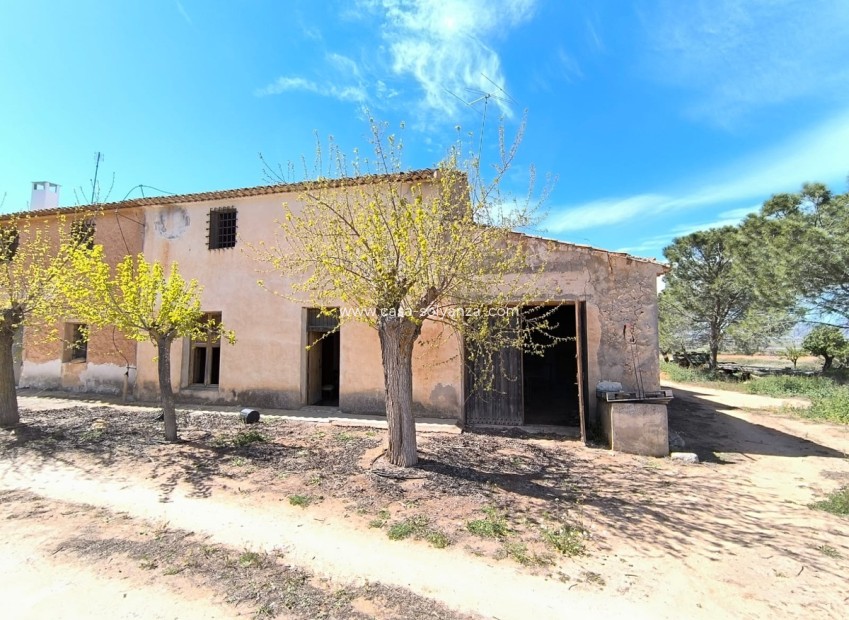 Resale - Country Property/Finca - Yecla - Yecla Centro