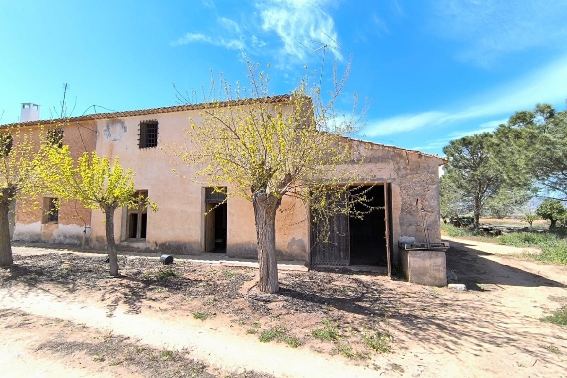 Resale - Country Property/Finca - Yecla - Yecla Centro
