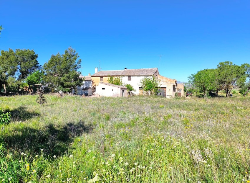 Resale - Country Property/Finca - Yecla - Yecla Centro