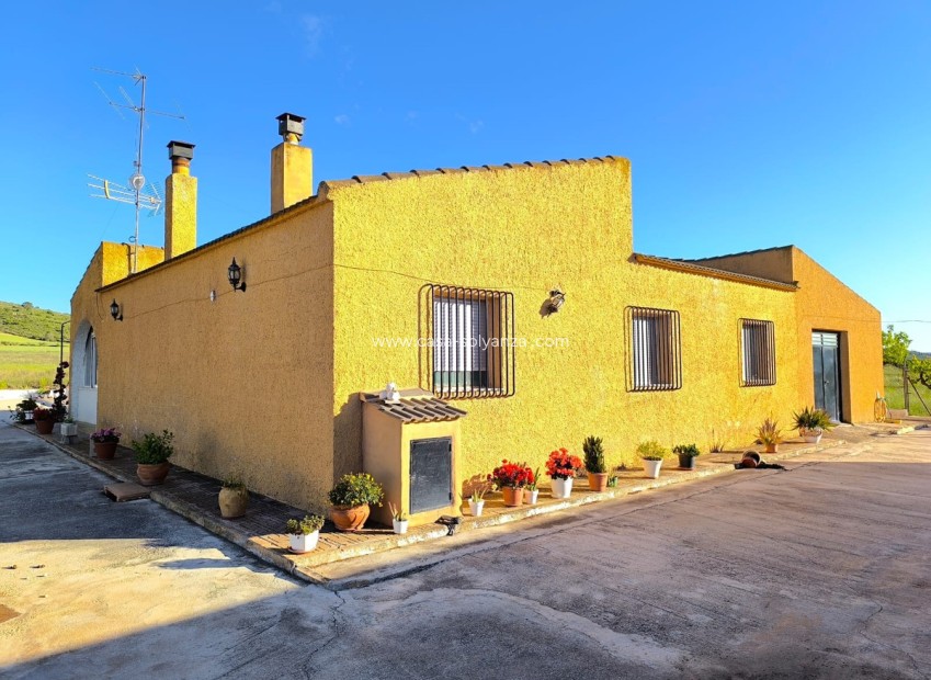 Resale - Country Property/Finca - Yecla - Yecla Centro