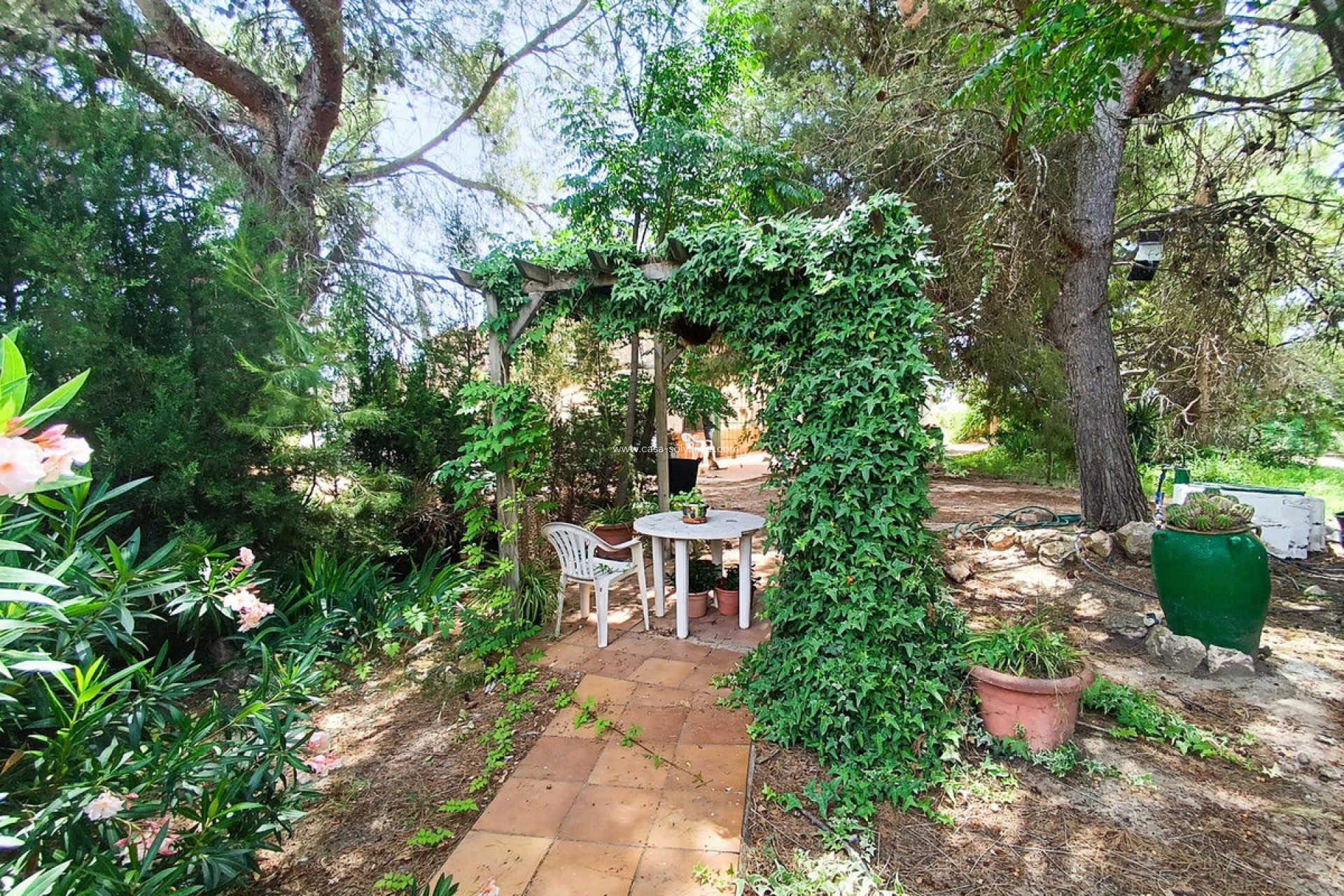 Resale - Country Property/Finca - Yecla - Yecla Centro