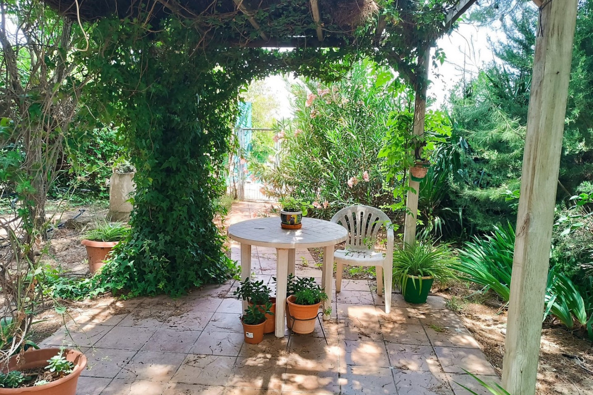 Resale - Country Property/Finca - Yecla - Yecla Centro