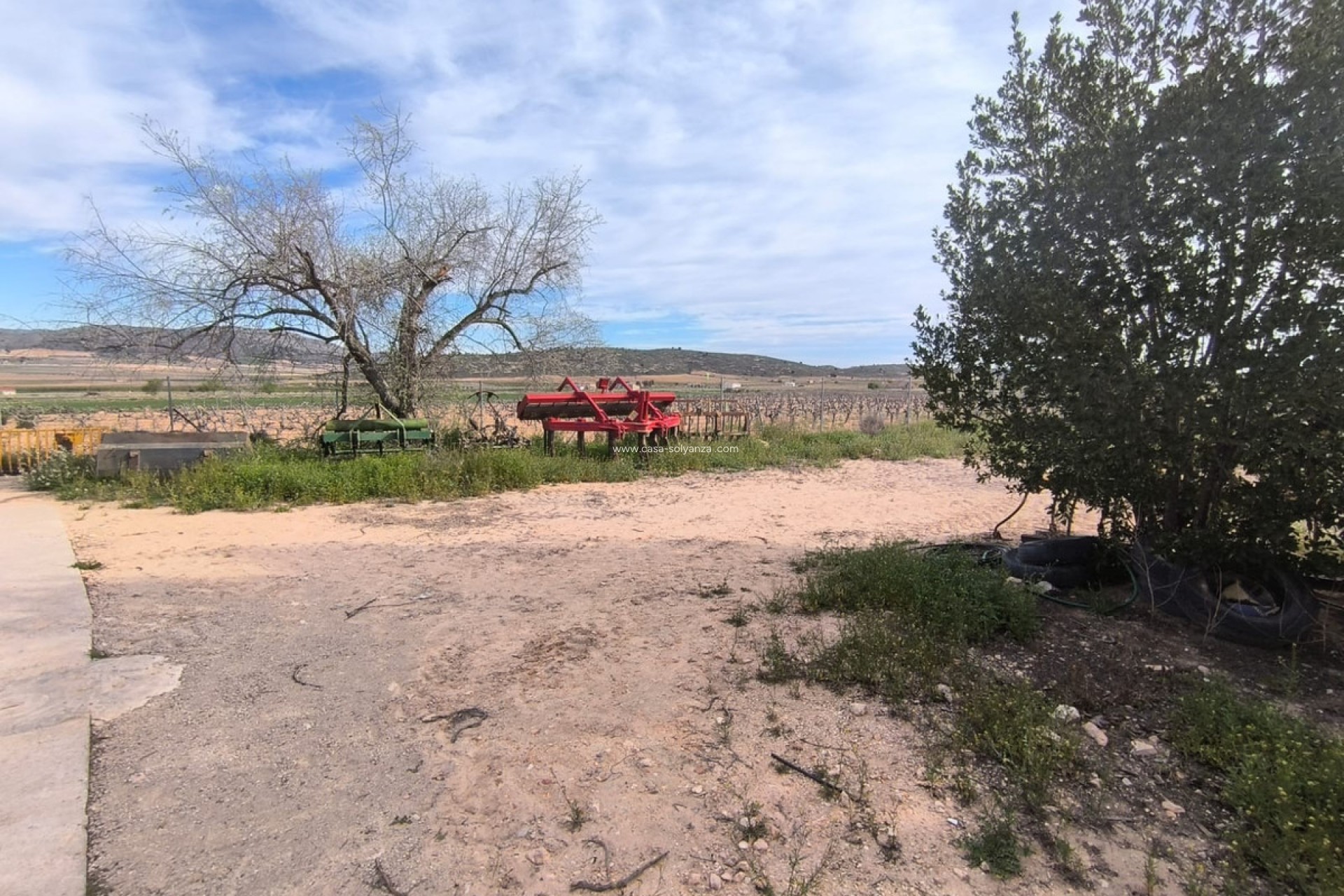 Resale - Country Property/Finca - Yecla - Yecla Centro