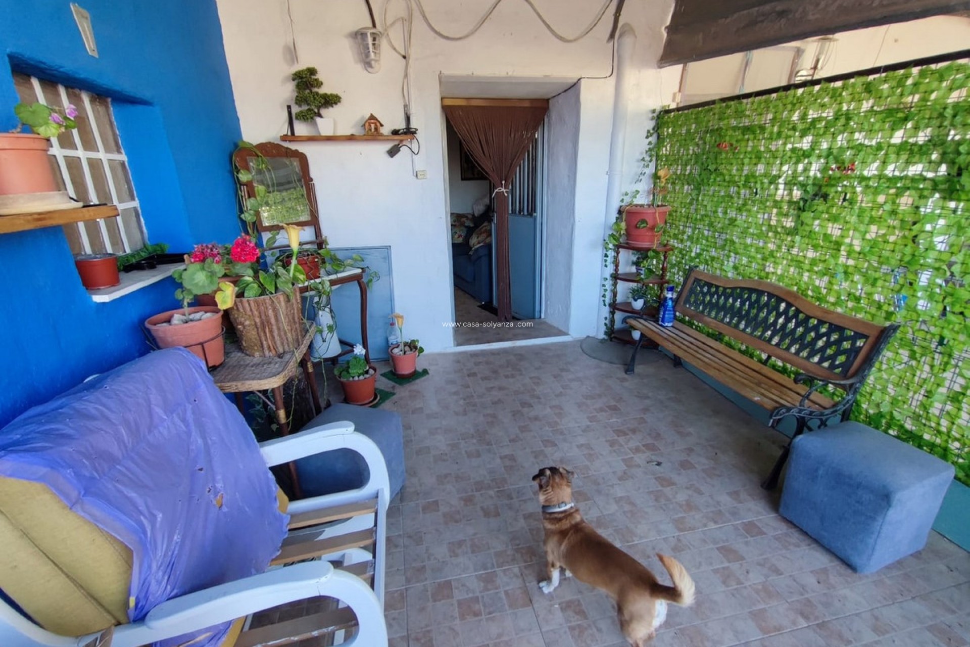 Resale - Country Property/Finca - Yecla - Yecla Centro