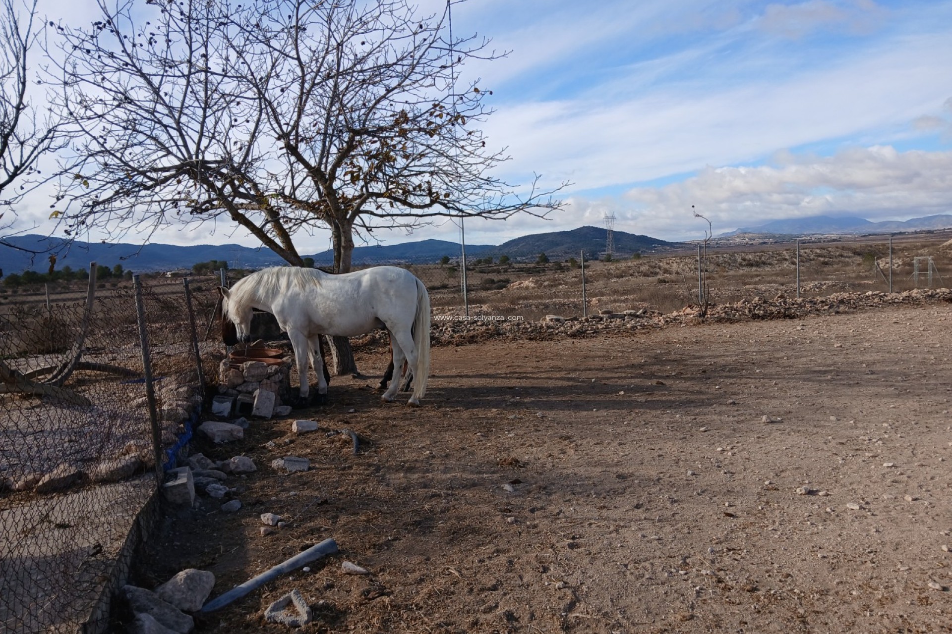 Resale - Equestrian property - Monóvar