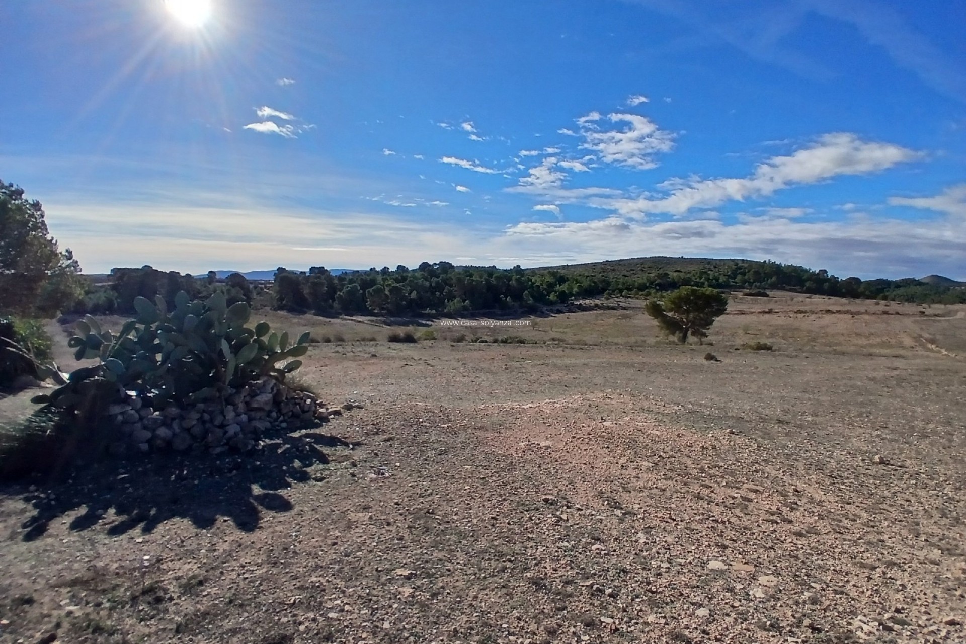 Resale - Finca - Country Property - Caudete