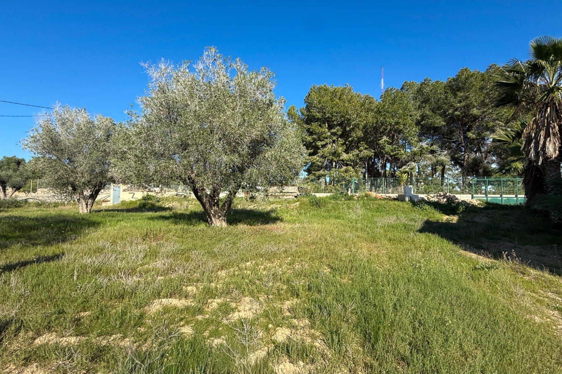 Resale - Finca Country Property - Guardamar del Segura - Guardamar