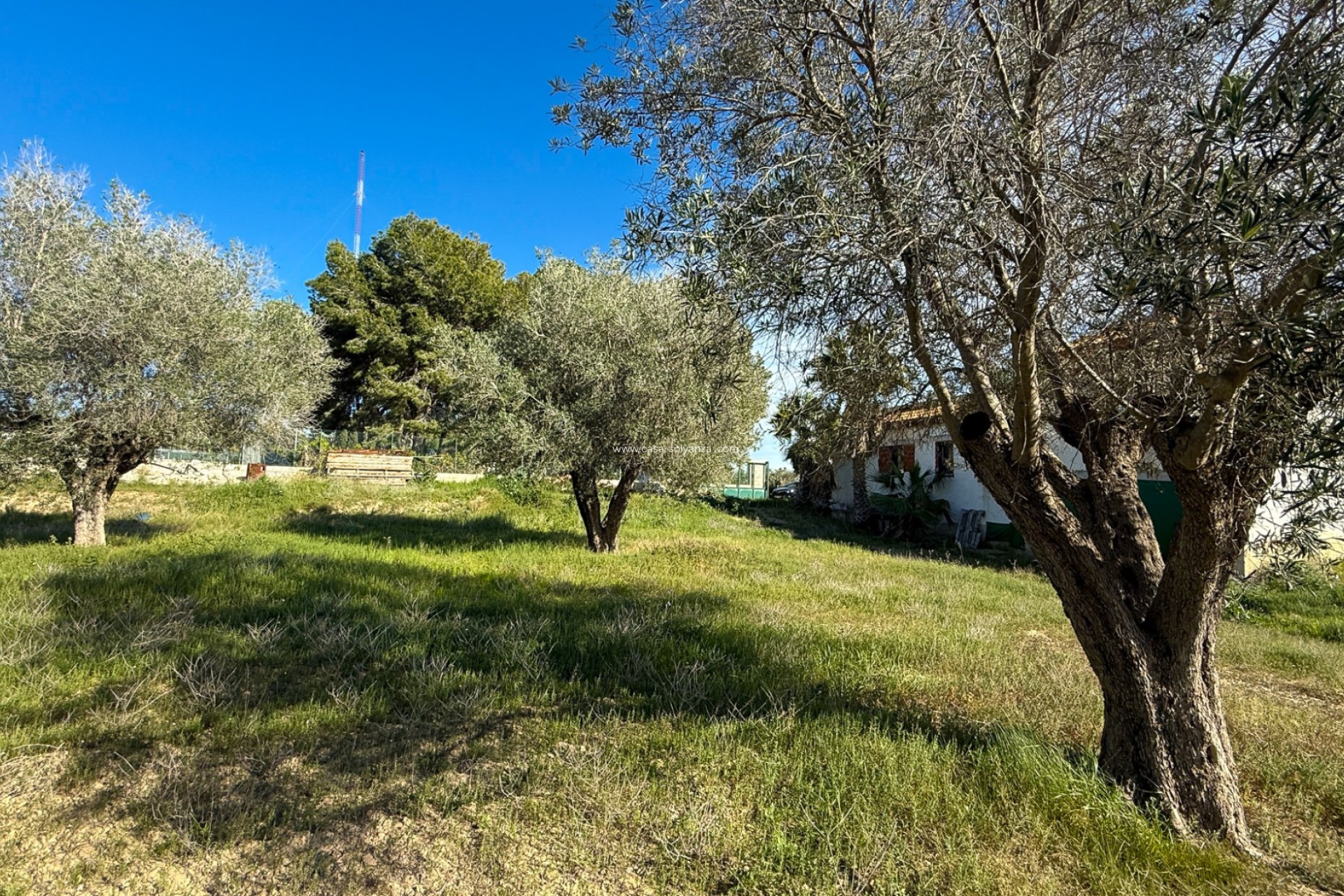 Resale - Finca Country Property - Guardamar del Segura - Guardamar