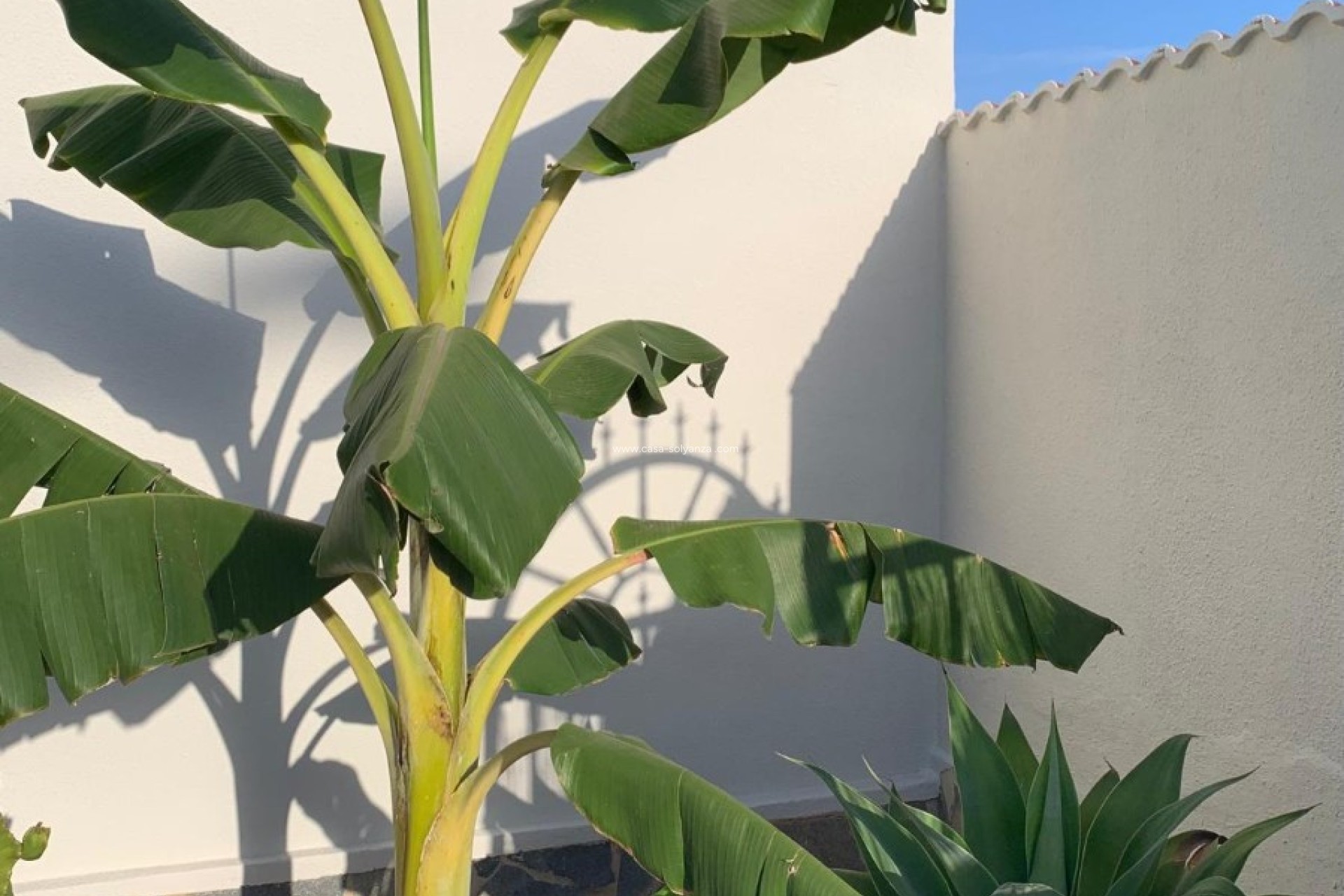 Resale - Independent villa - Ciudad Quesada - Rojales - Ciudad Quesada