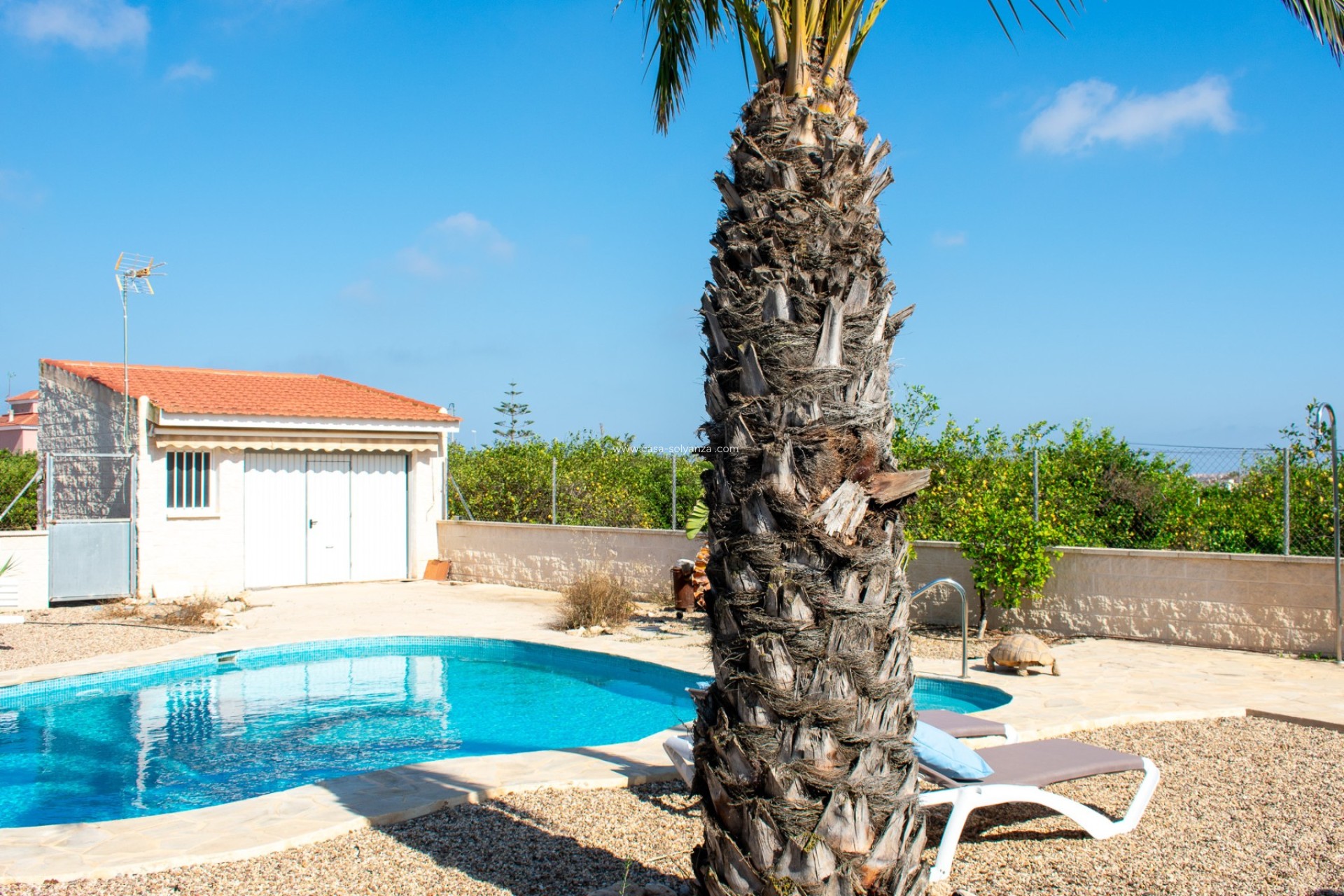 Resale - Independent villa - Guardamar del Segura - El Raso