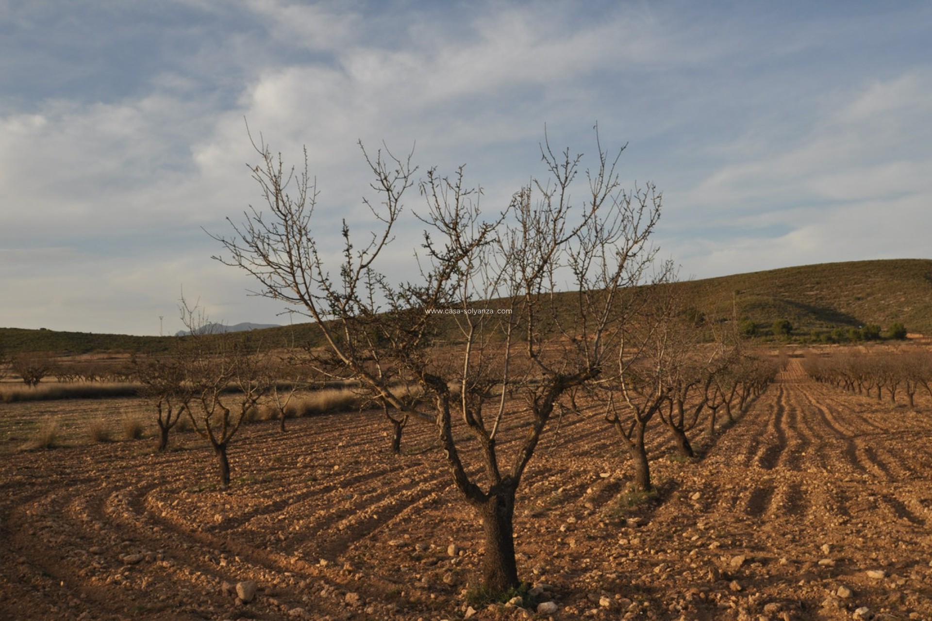 Resale - Land - Abanilla - Abanilla Centro