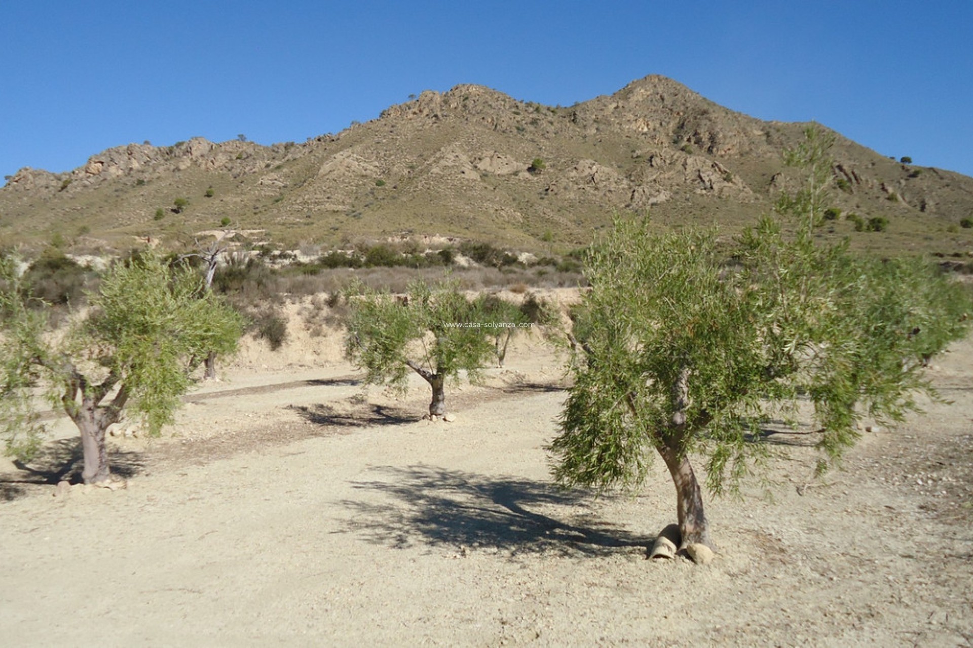 Resale - Land - Abanilla - Abanilla Centro