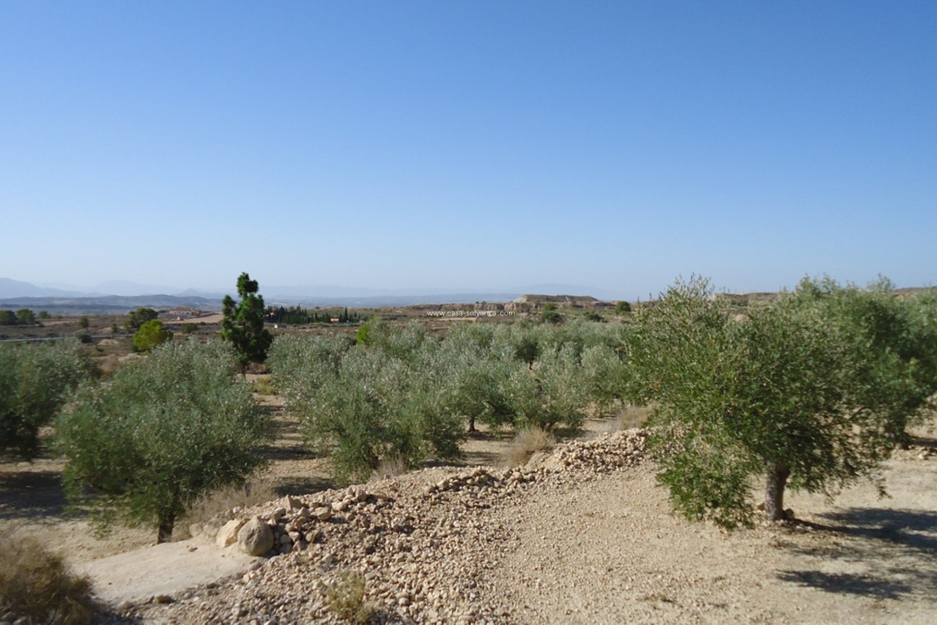 Resale - Land - Abanilla - Abanilla Centro