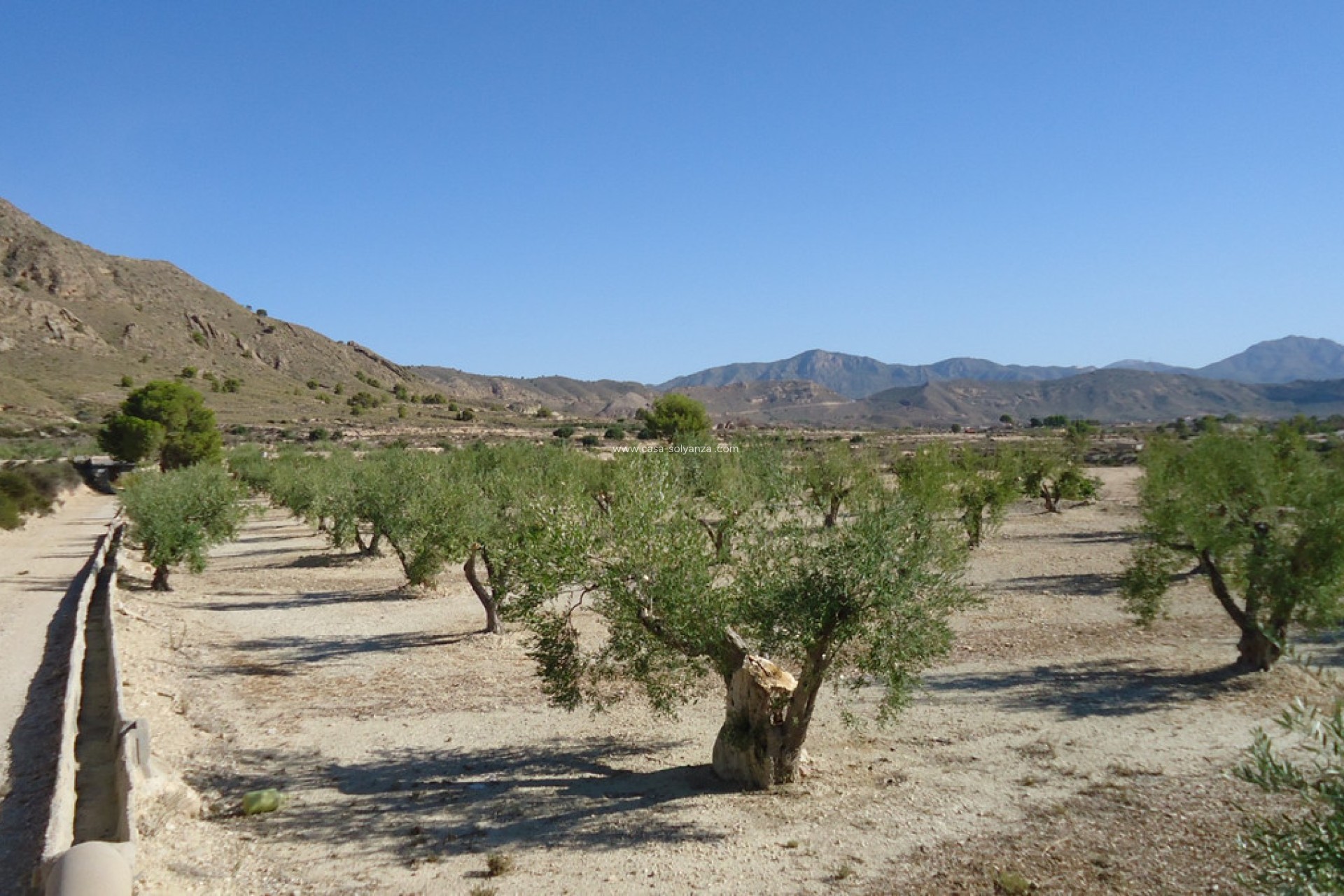 Resale - Land - Abanilla - Abanilla Centro