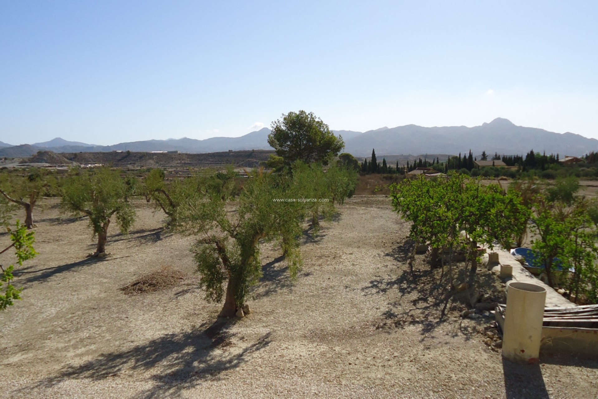 Resale - Land - Abanilla - Abanilla Centro