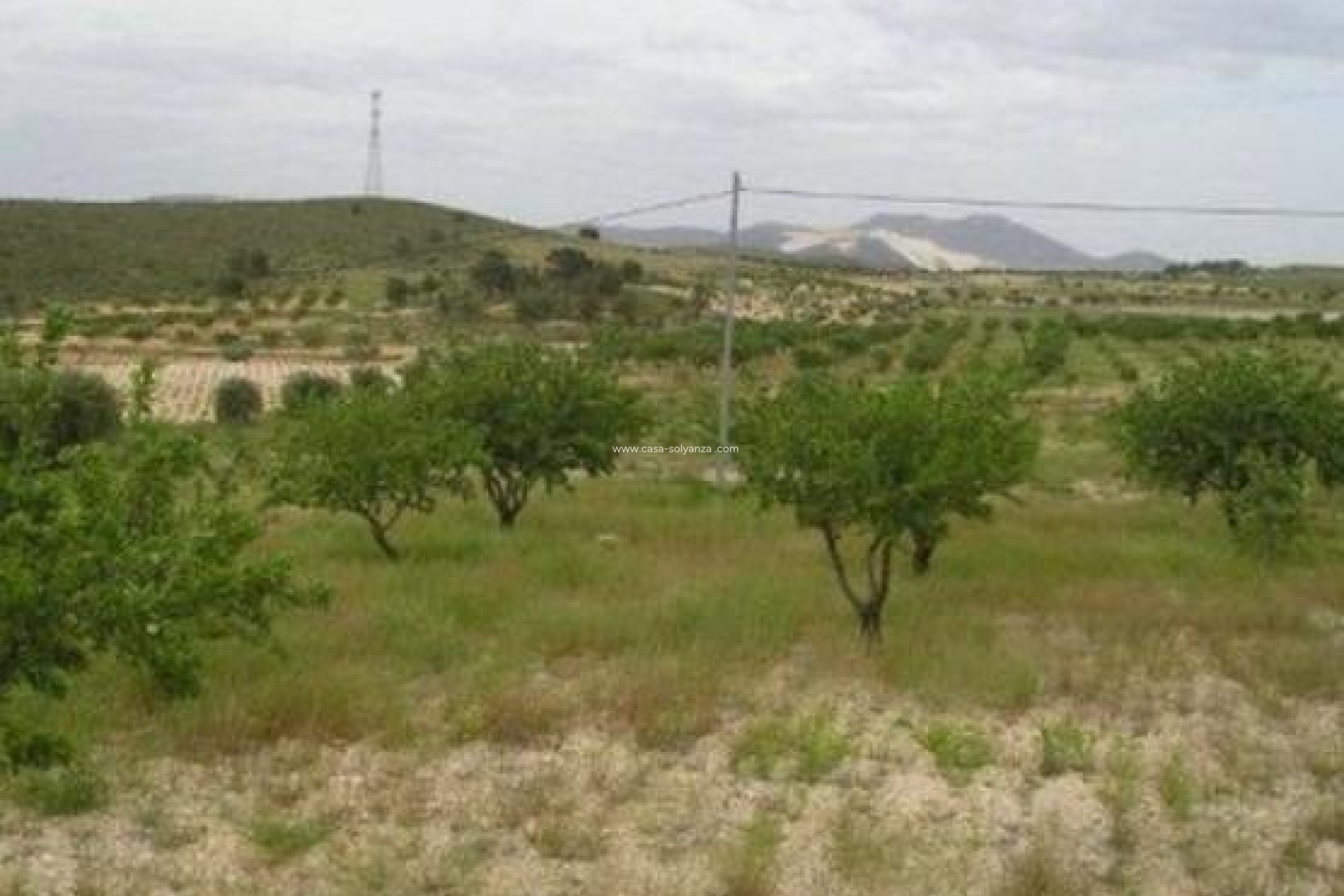 Resale - Land - Abanilla - Cañada Del Trigo