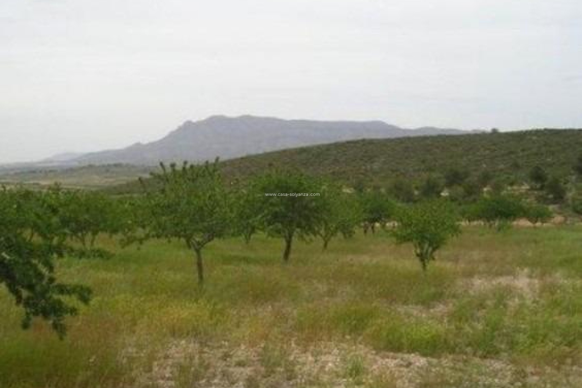 Resale - Land - Abanilla - Cañada Del Trigo