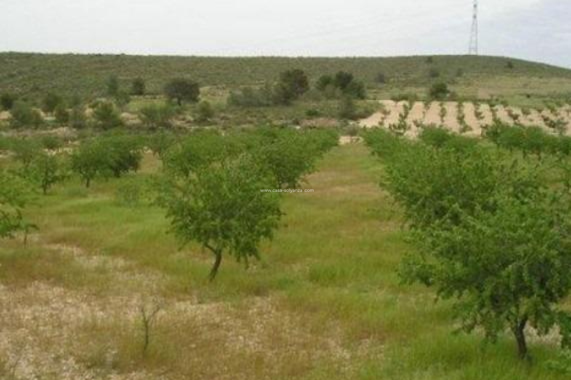 Resale - Land - Abanilla - Cañada Del Trigo