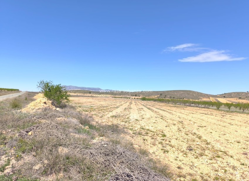 Resale - Land - Abanilla - Inland