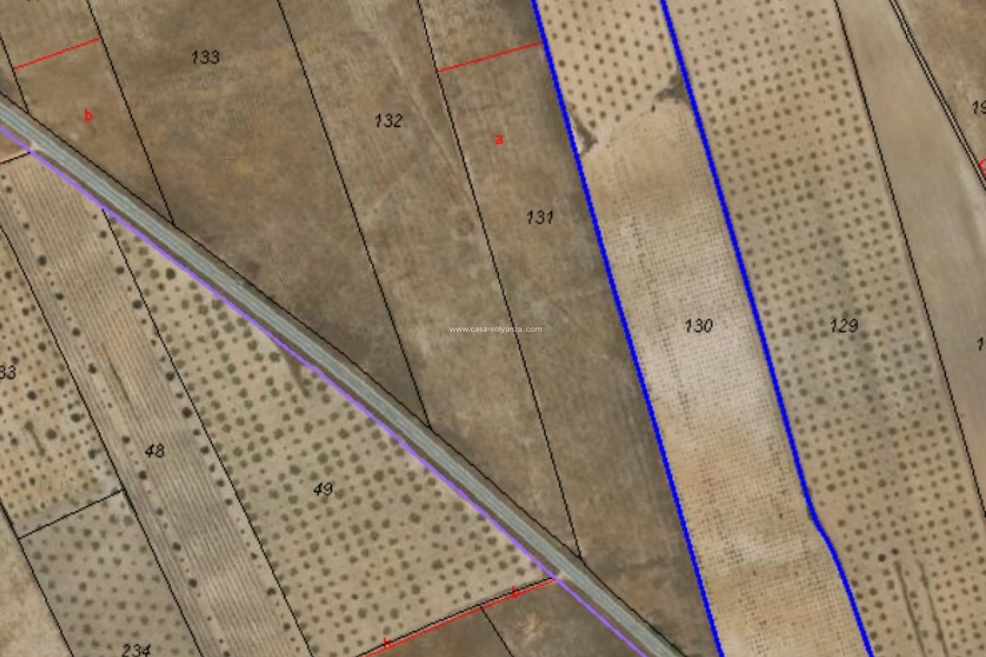 Resale - Land - Abanilla - Inland