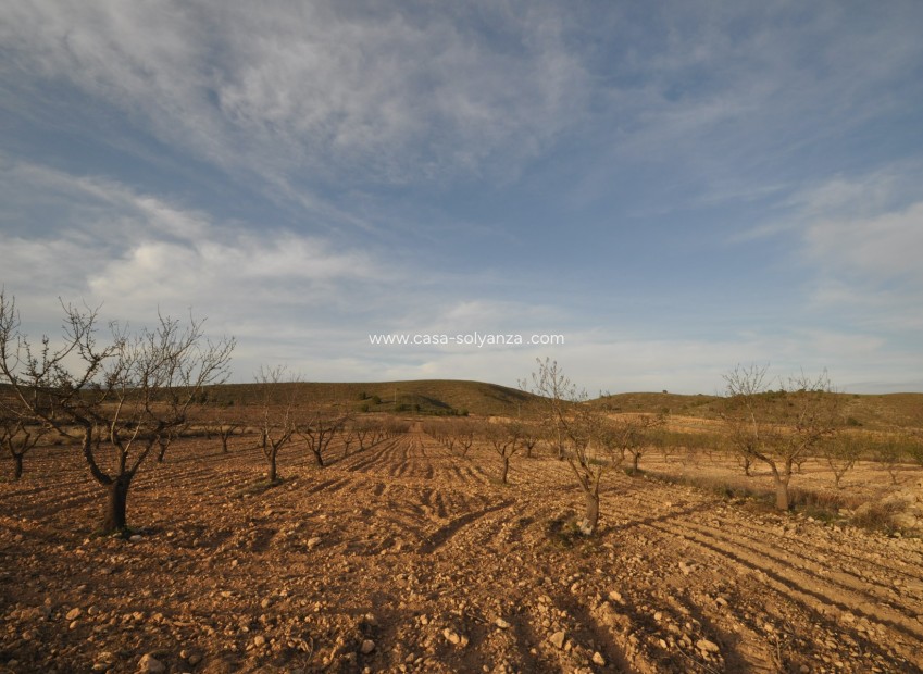 Resale - Land - Abanilla - Inland