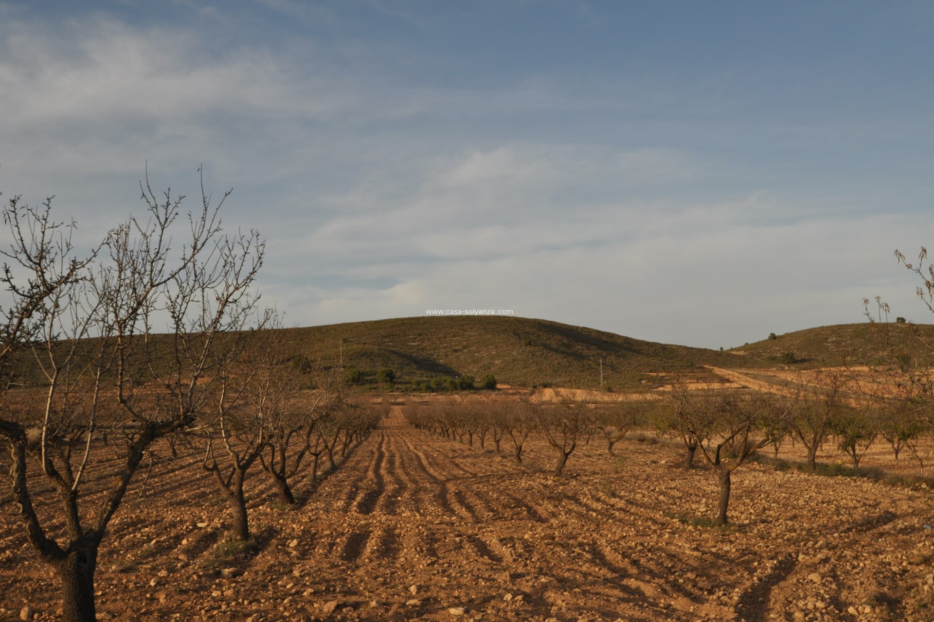 Resale - Land - Abanilla - Inland