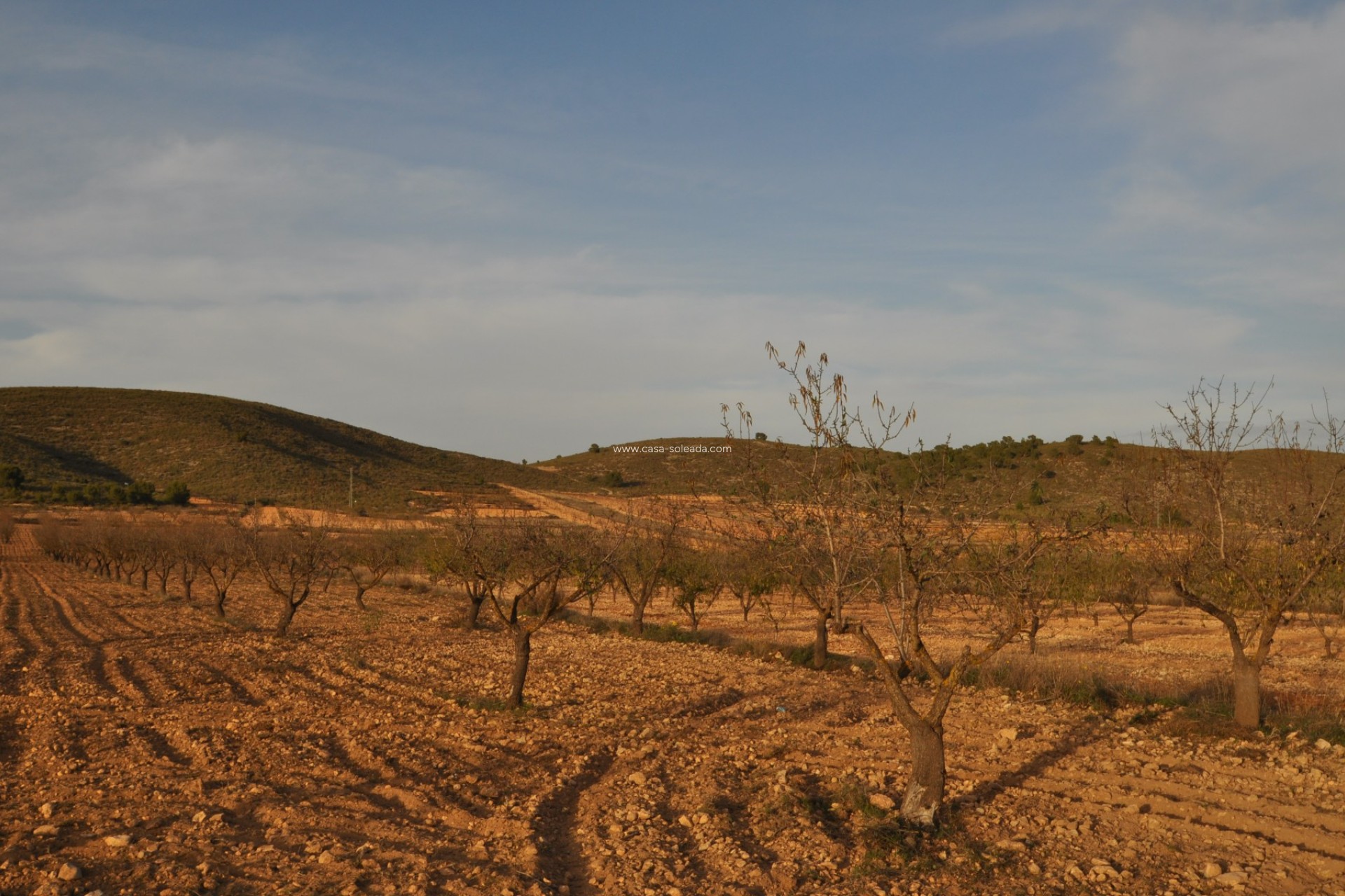 Resale - Land - Abanilla - Inland