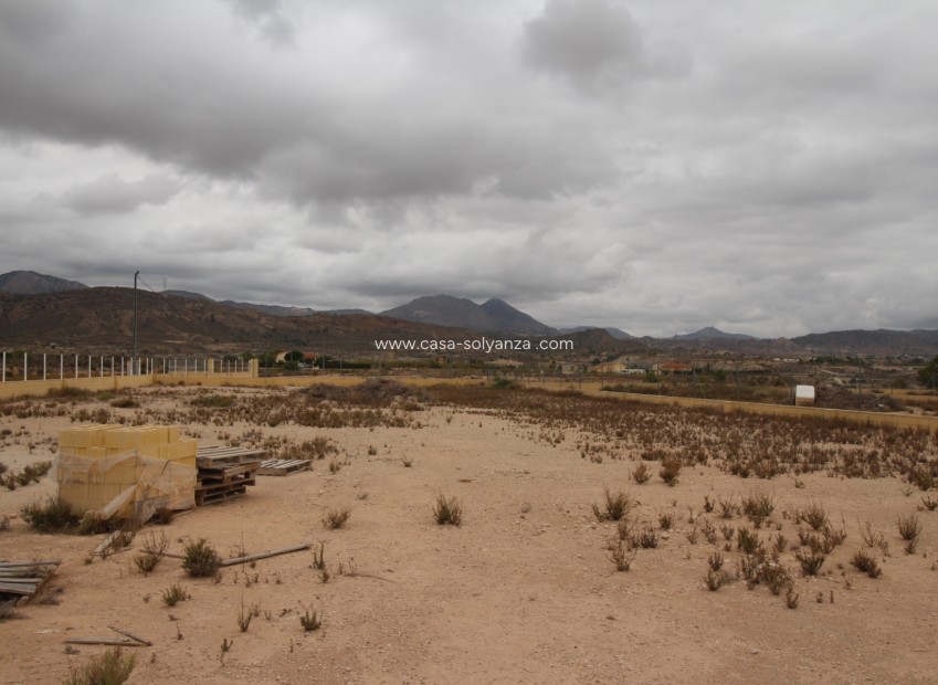 Resale - Land - Abanilla