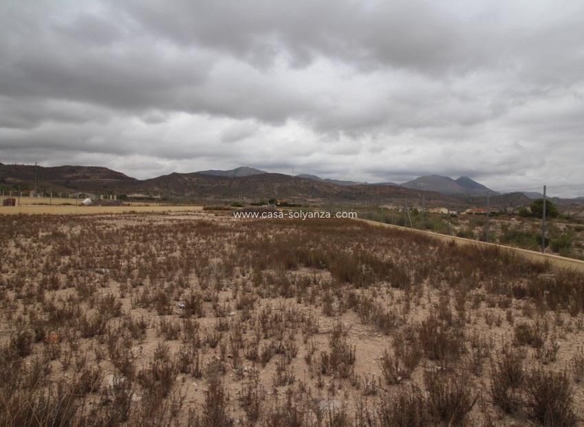 Resale - Land - Abanilla