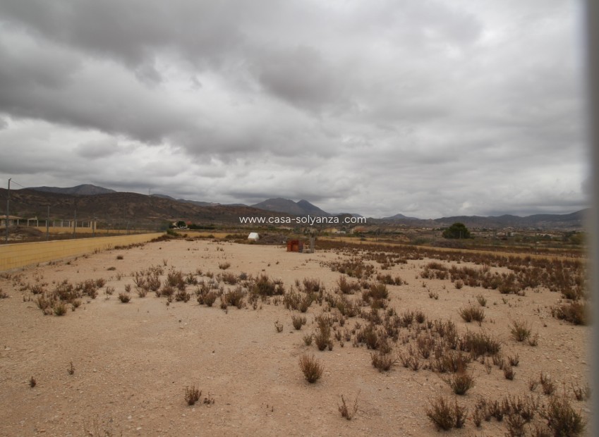 Resale - Land - Abanilla