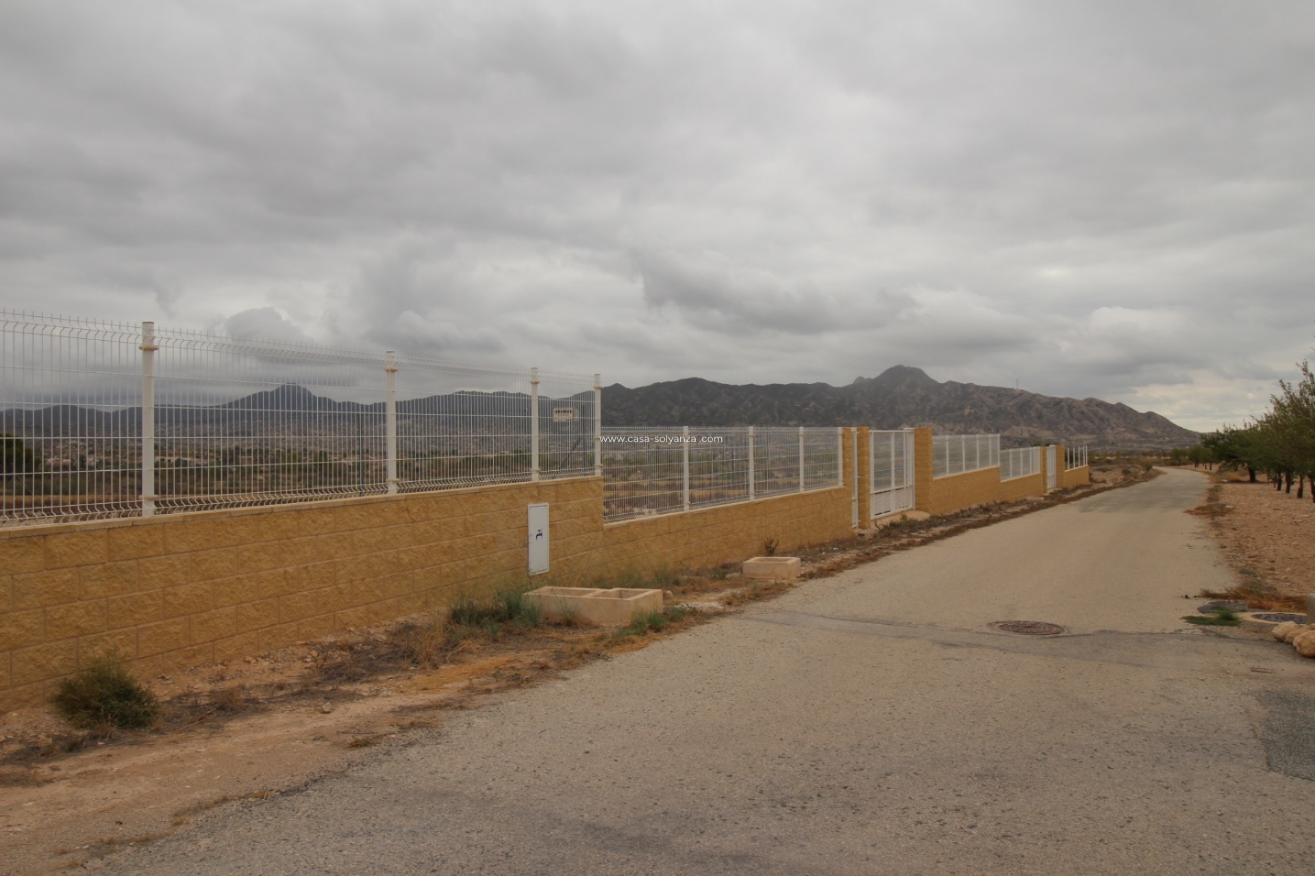 Resale - Land - Abanilla