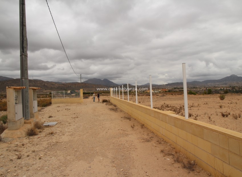 Resale - Land - Abanilla